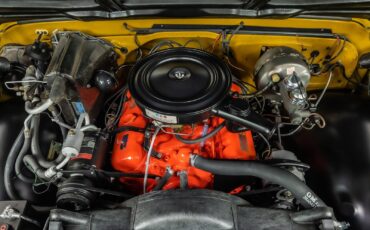 Chevrolet-CK-Pickup-2500-1970-Pickup-Truck-3