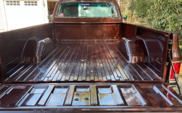 Chevrolet-CK-Pickup-2500-1982-Standard-Cab-Pickup-27
