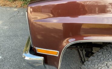 Chevrolet-CK-Pickup-2500-1982-Standard-Cab-Pickup-30