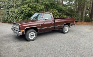 Chevrolet-CK-Pickup-2500-1982-Standard-Cab-Pickup