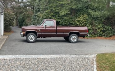 Chevrolet-CK-Pickup-2500-1982-Standard-Cab-Pickup-4