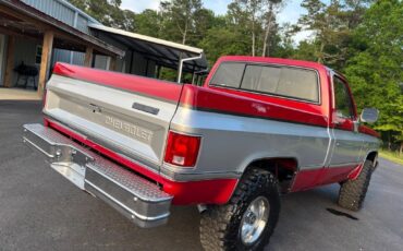 Chevrolet-CK10-4x4-100-Frame-off-1982-4x4-3
