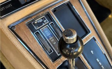 Chevrolet-CORVETTE-454-1970-COUPE-24