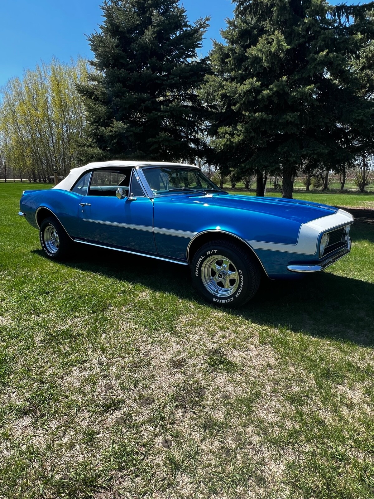 Chevrolet Camaro 1967 Convertible
