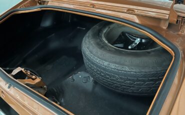 Chevrolet-Camaro-1977-Coupe-6