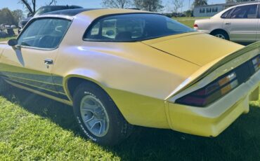 Chevrolet-Camaro-1979-2