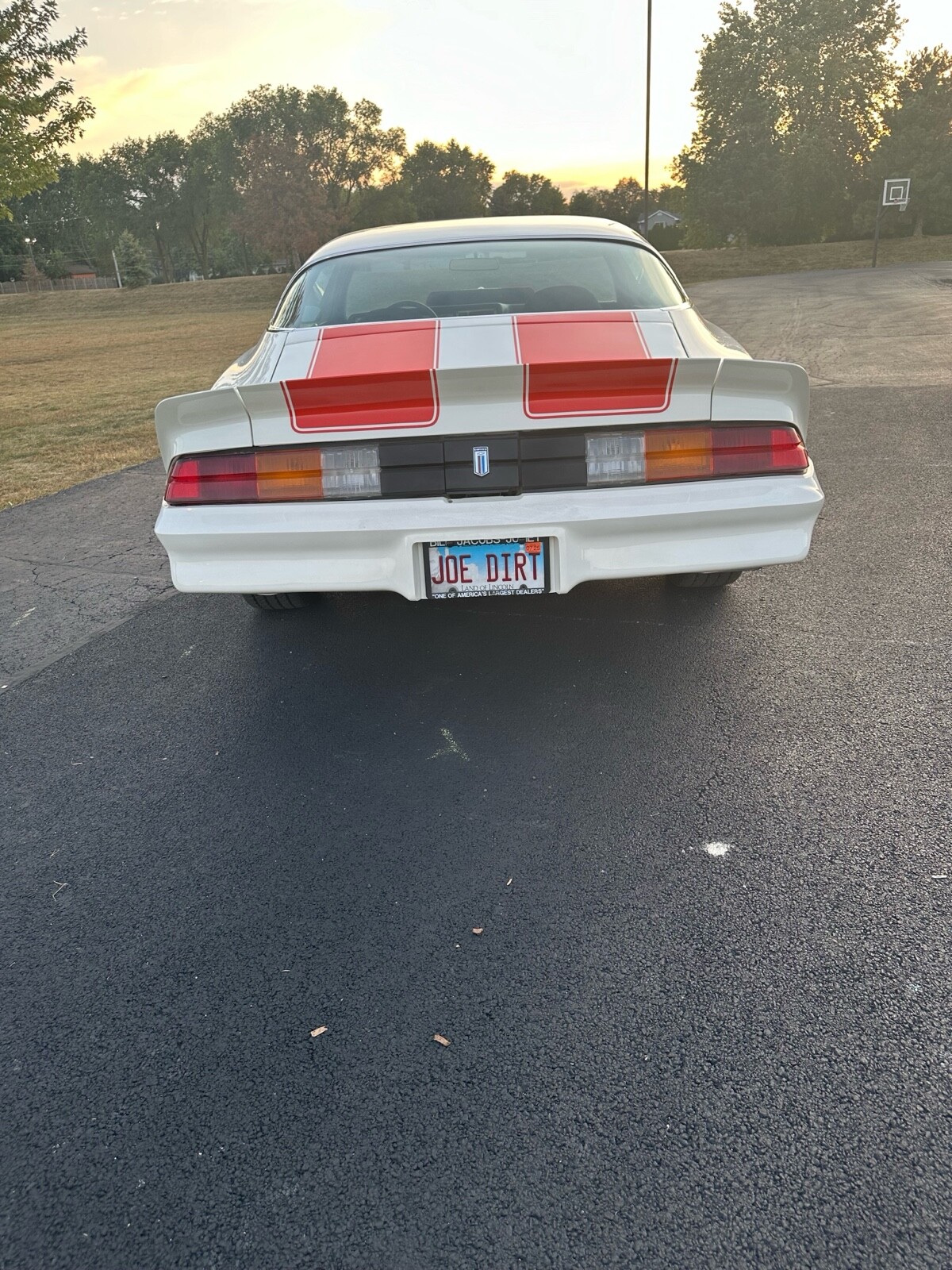 Chevrolet-Camaro-1981-6