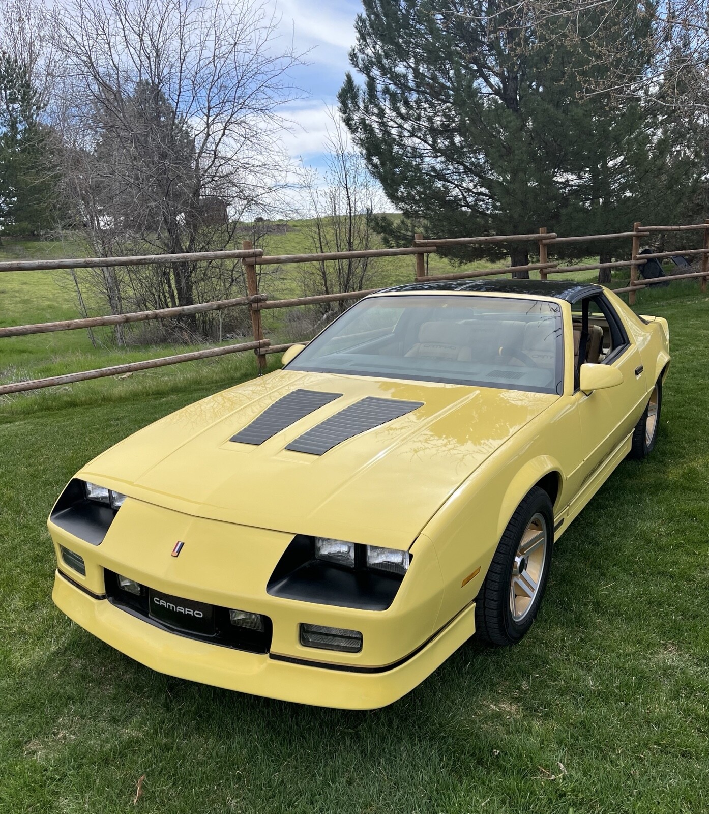 Chevrolet-Camaro-1985-13