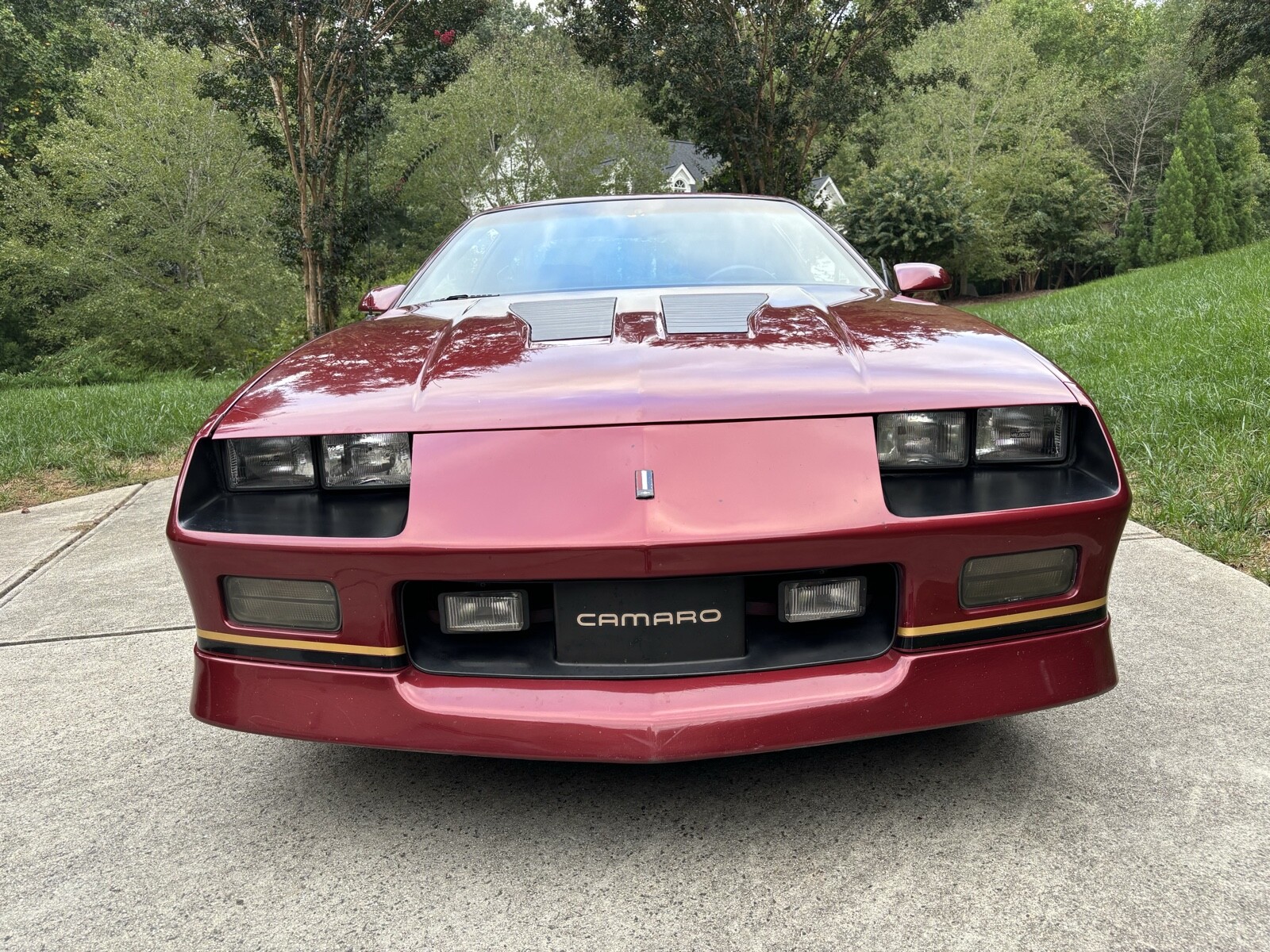 Chevrolet-Camaro-1988-15