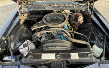 Chevrolet-Camaro-Z28-4-speed-1980-Coupe-13