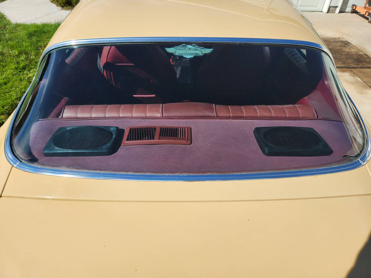 Chevrolet-Camaro-ls-1977-4