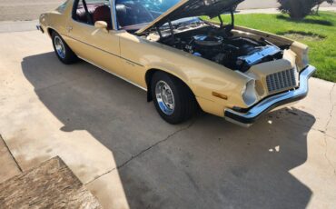 Chevrolet-Camaro-ls-1977-6