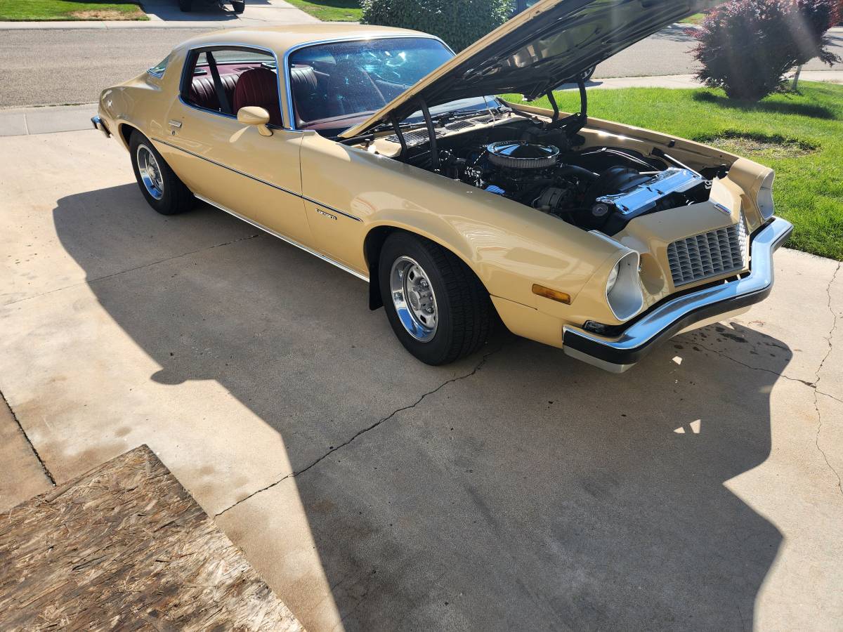 Chevrolet-Camaro-ls-1977-6