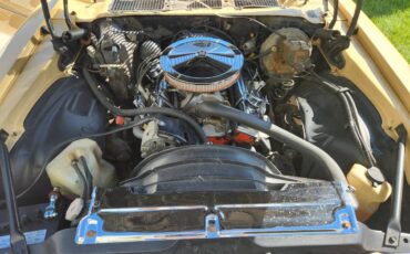 Chevrolet-Camaro-ls-1977-8