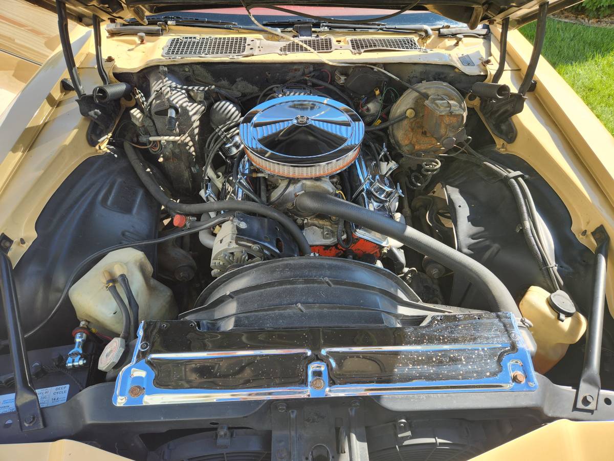 Chevrolet-Camaro-ls-1977-8