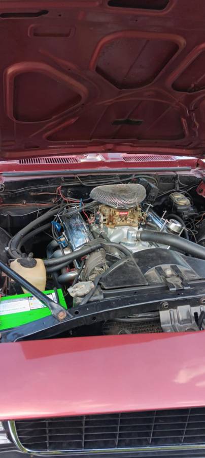 Chevrolet-Camaro-z28-1969-3