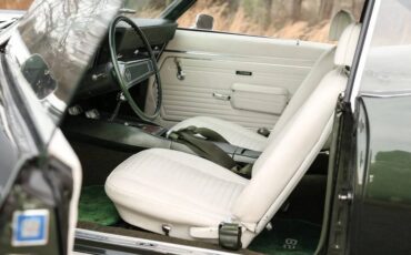Chevrolet-Camaro-z28-1969-green-11