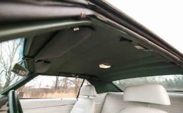 Chevrolet-Camaro-z28-1969-green-17