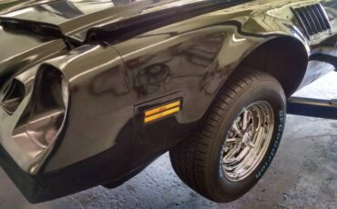 Chevrolet-Camaro-z28-1979-black-13