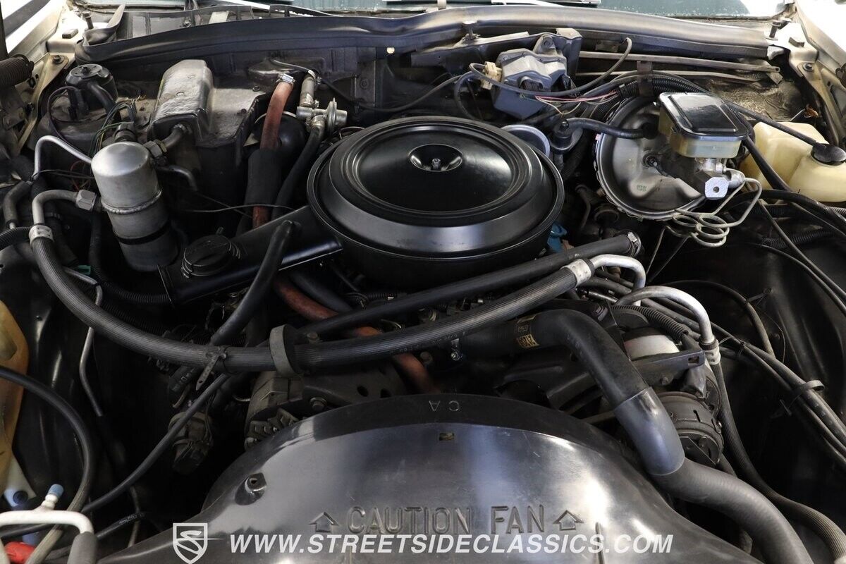 Chevrolet-Caprice-1981-Station-Wagon-3