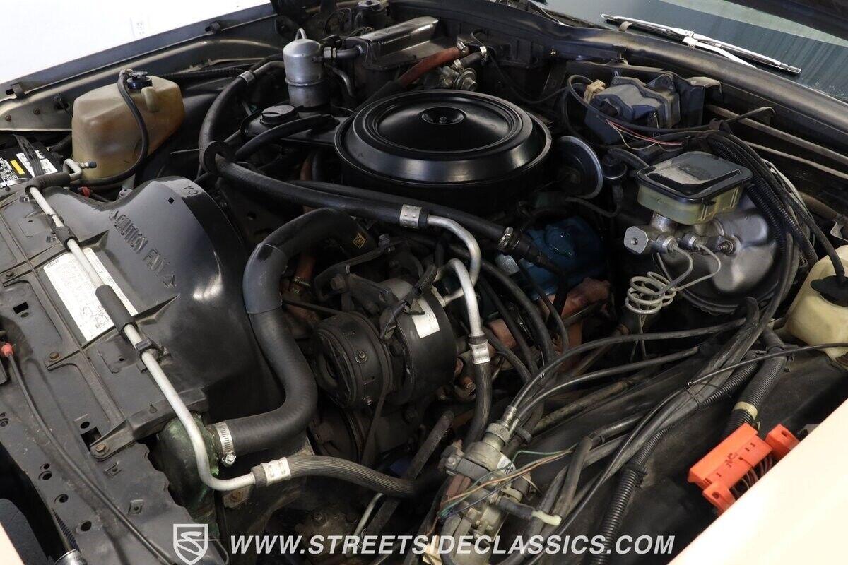 Chevrolet-Caprice-1981-Station-Wagon-30