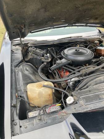 Chevrolet-Caprice-classic-convertible-1974-7