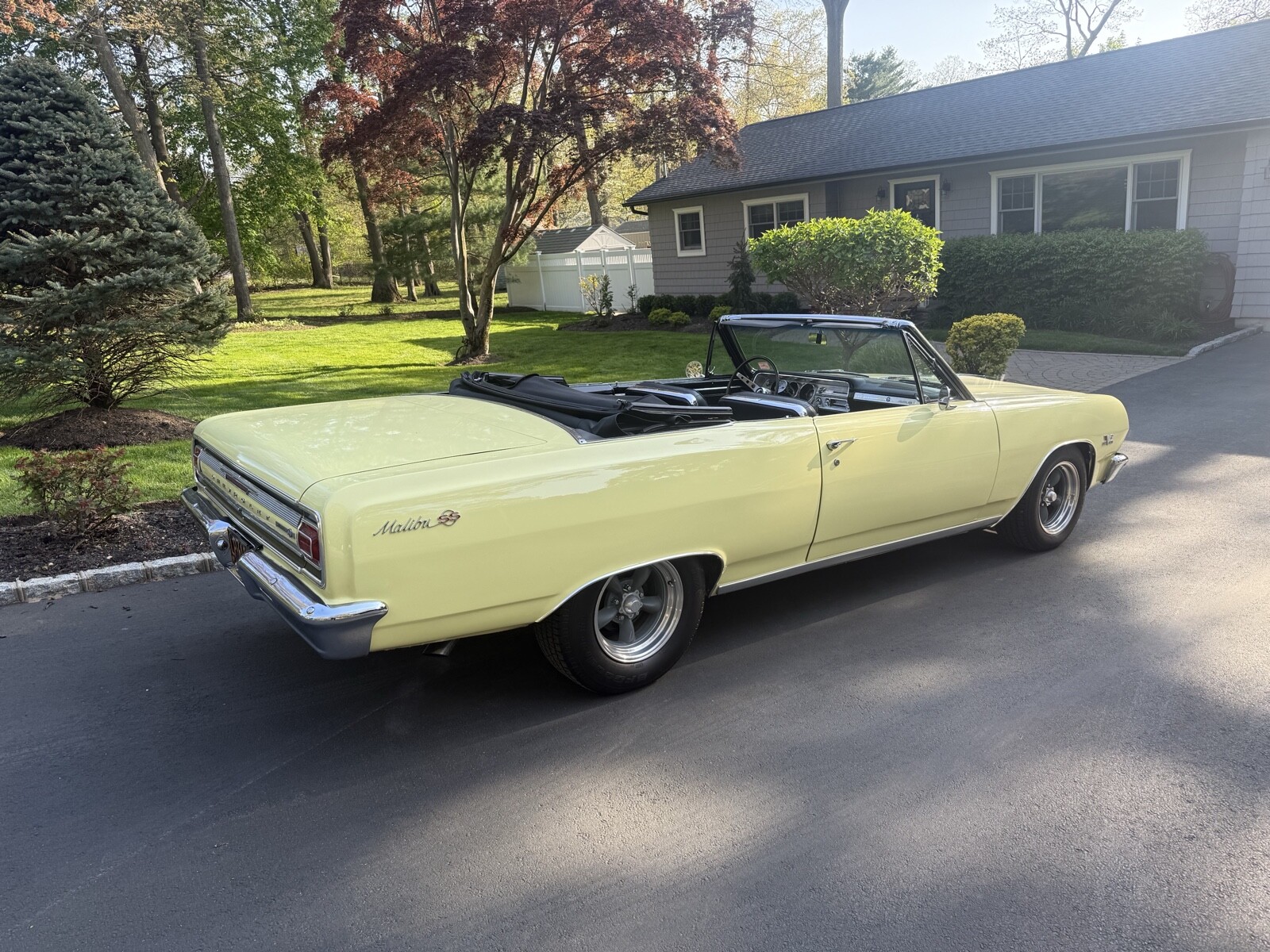 Chevrolet-Chevelle-1965-Convertible-12