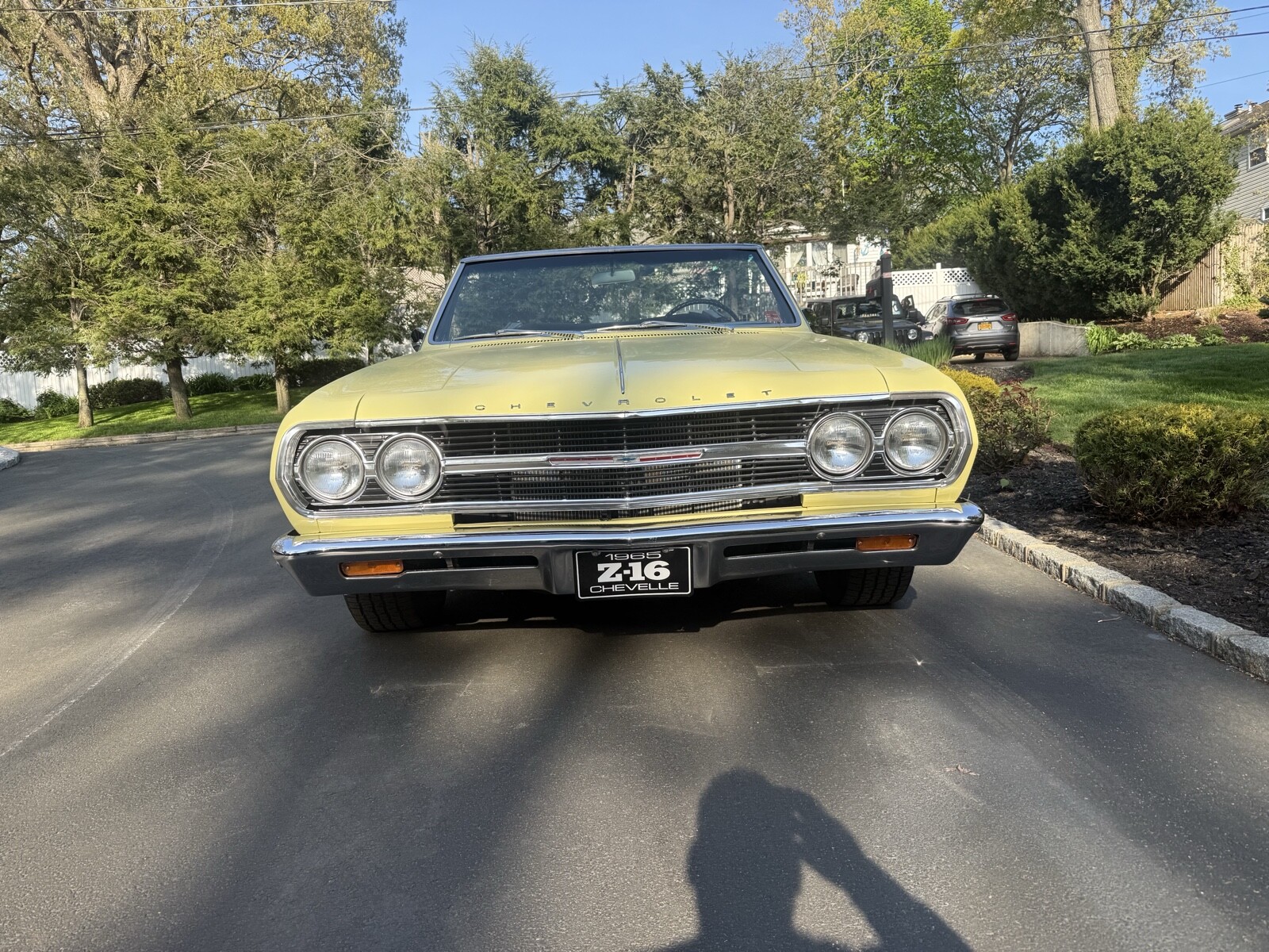 Chevrolet-Chevelle-1965-Convertible-9