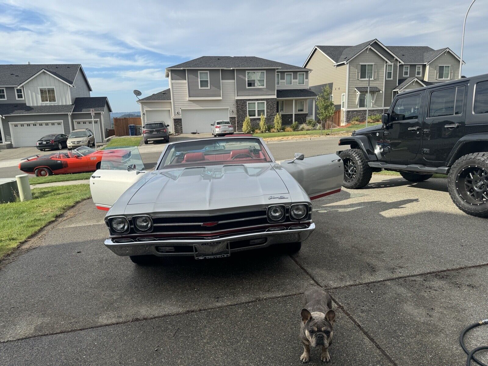 Chevrolet-Chevelle-1969-Convertible-12