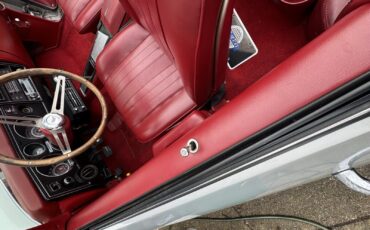 Chevrolet-Chevelle-1969-Convertible-34