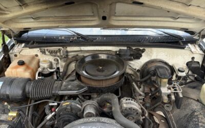 Chevrolet Cheyenne 1990 Standard Cab Pickup