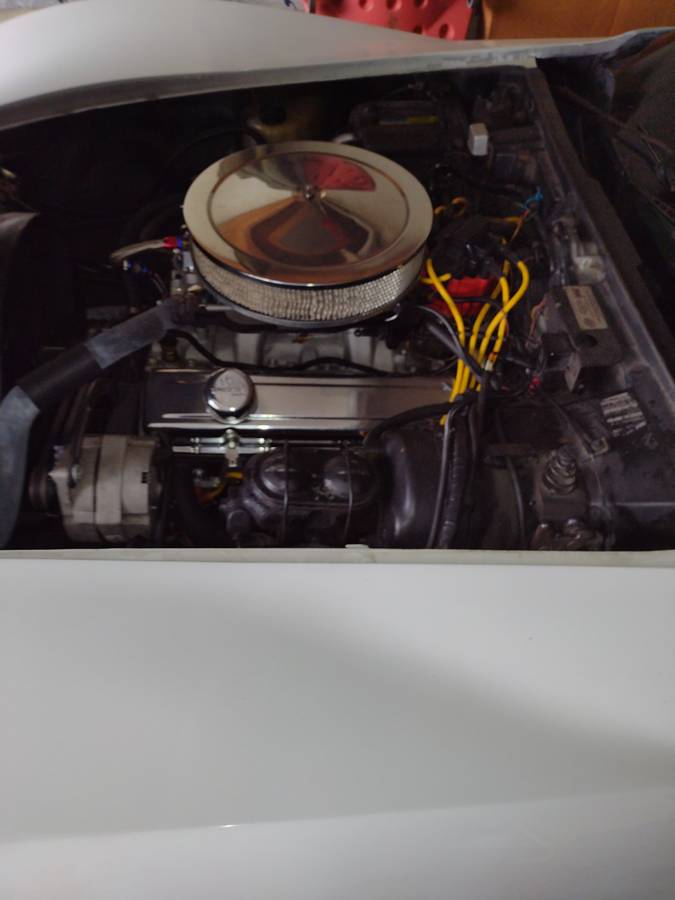 Chevrolet-Cor-1981-white-2