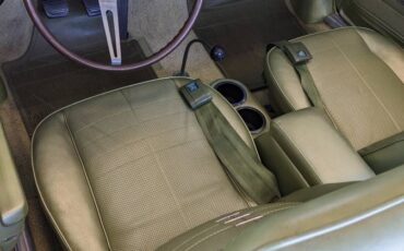 Chevrolet-Corvair-monza-1969-green-11