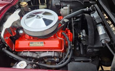 Chevrolet-Corvette-1966-Coupe-36
