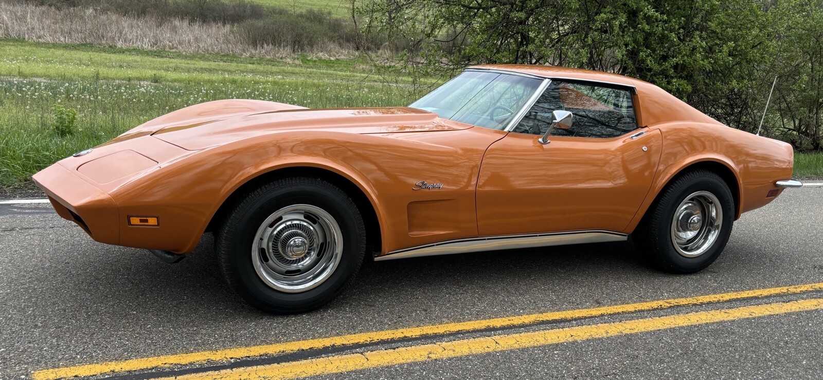 Chevrolet-Corvette-1973-5