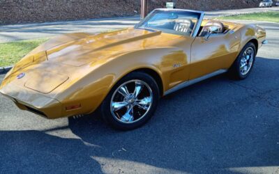 Chevrolet Corvette  1973 custom