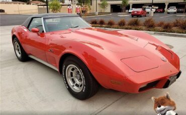 Chevrolet-Corvette-1975-Coupe-1