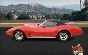 Chevrolet-Corvette-1975-Coupe-12