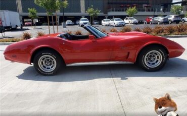 Chevrolet-Corvette-1975-Coupe-2