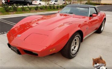 Chevrolet-Corvette-1975-Coupe-6