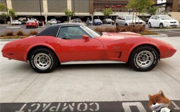 Chevrolet-Corvette-1975-Coupe-8
