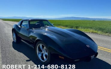 Chevrolet-Corvette-1976-Coupe-10