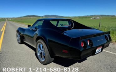 Chevrolet-Corvette-1976-Coupe-12
