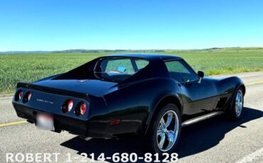 Chevrolet-Corvette-1976-Coupe-14