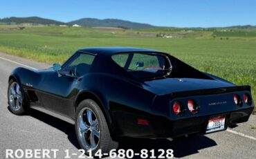 Chevrolet-Corvette-1976-Coupe-15