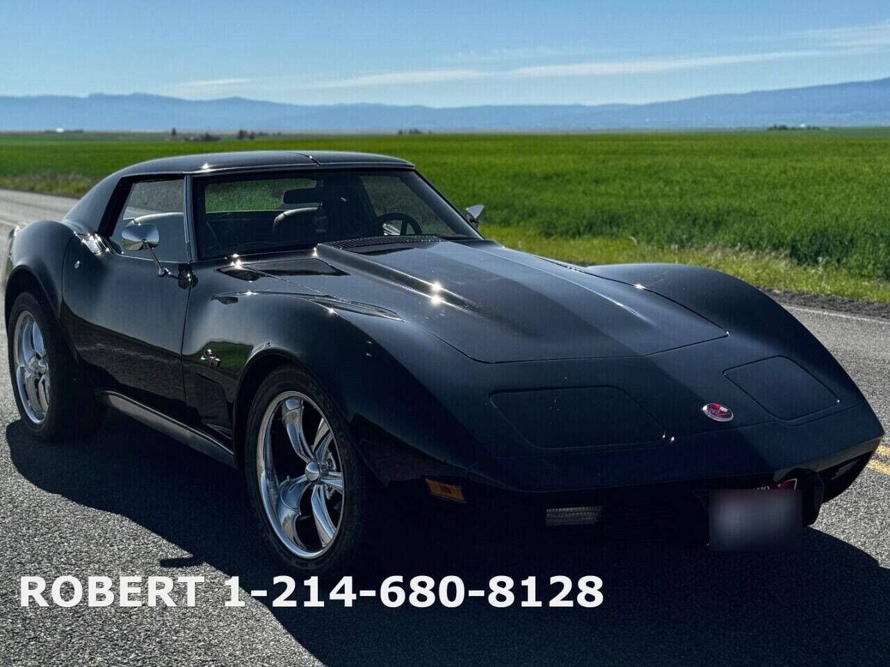 Chevrolet-Corvette-1976-Coupe-17