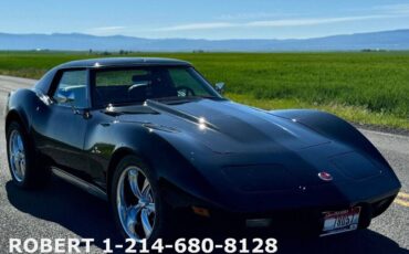 Chevrolet-Corvette-1976-Coupe-18