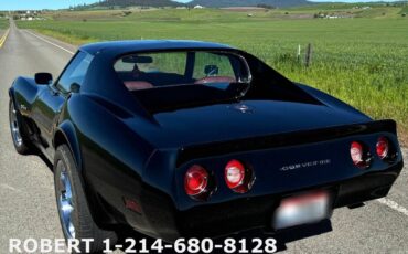 Chevrolet-Corvette-1976-Coupe-19