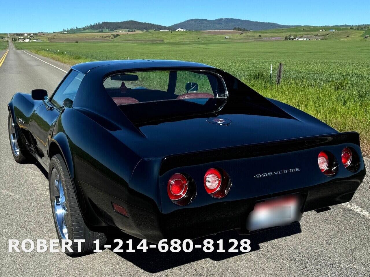 Chevrolet-Corvette-1976-Coupe-19