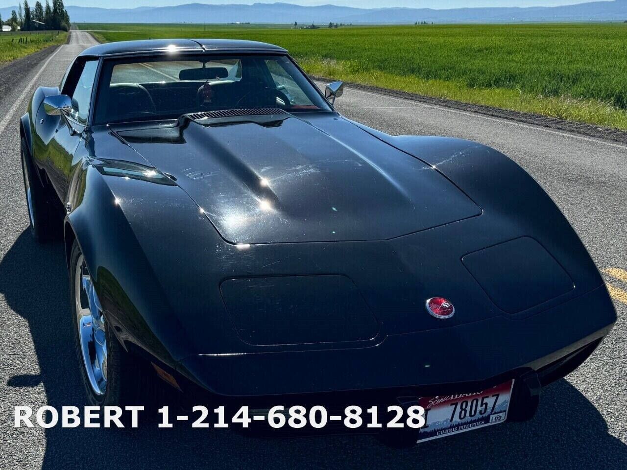 Chevrolet-Corvette-1976-Coupe-20